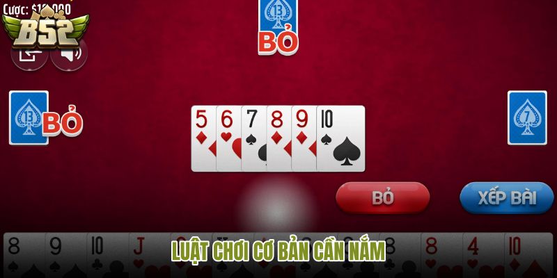 luat-choi-co-ban-can-nam luat-choi-co-ban-can-nam